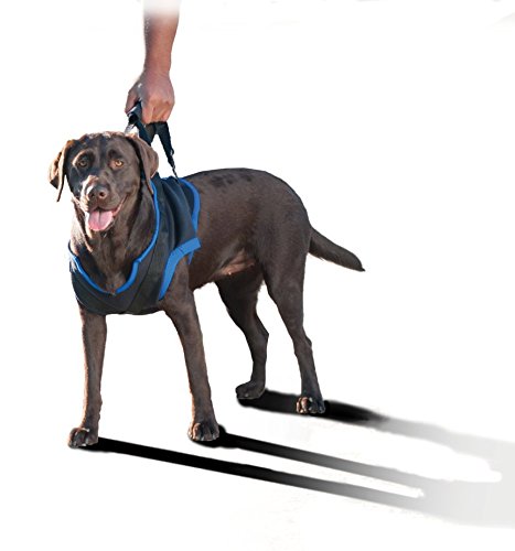Walkabout Front Harness (Large 30-38'